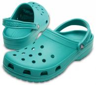 Classic Tropical Teal